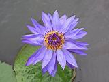 103-0349_IMG.JPG