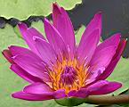 103-0351B_IMG.JPG