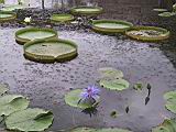 103-0352_IMG.JPG