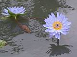 103-0355_IMG.JPG