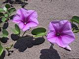 104-0452_IMG.JPG