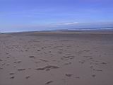 104-0455_IMG.JPG