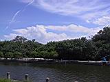 104-0461_IMG.JPG