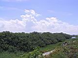 104-0463_IMG.JPG