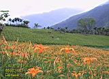 104-0491T_IMG.JPG