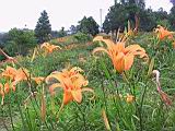 104-0492_IMG.JPG