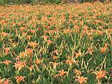 104-0494_IMG.JPG
