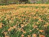104-0495_IMG.JPG