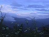 104-0498_IMG.JPG