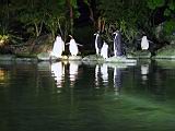 105-0503_IMG.JPG