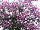 105-0545_IMG.JPG