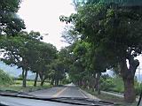105-0546_IMG.JPG