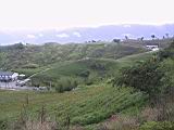 105-0551_IMG.JPG