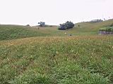 105-0555_IMG.JPG