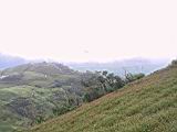 105-0559_IMG.JPG