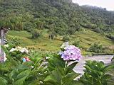 105-0575_IMG.JPG