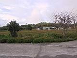 105-0578_IMG.JPG