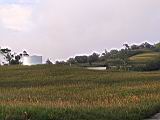 105-0580_IMG.JPG