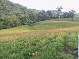 105-0581_IMG.JPG