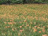 105-0584_IMG.JPG