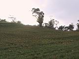 105-0585_IMG.JPG