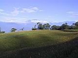 105-0589_IMG.JPG
