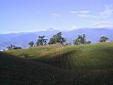 105-0590_IMG.JPG