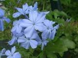 106-0693_IMG.JPG