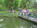 106-0695_IMG.JPG