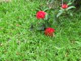 107-0701_IMG.JPG