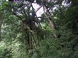 107-0706_IMG.JPG
