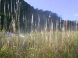 107-0738_IMG.JPG