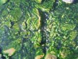 107-0745_IMG.JPG