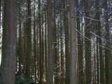 108-0878_IMG.JPG