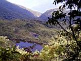 108-0889A_IMG.JPG