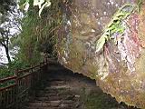 100-0033_IMG.JPG