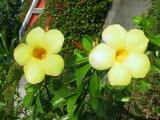 109-0951_IMG.JPG