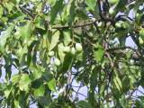 109-0952_IMG.JPG