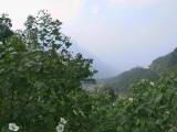 109-0953_IMG.JPG