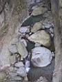 109-0955_IMG.JPG