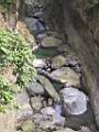 109-0957_IMG.JPG