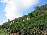 100-0043_IMG.JPG