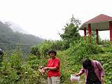 100-0055_IMG.JPG