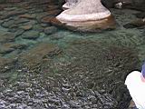 100-0058_IMG.JPG
