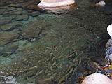 100-0060_IMG.JPG