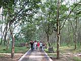 100-0087_IMG.JPG