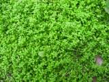 110-1016_IMG.JPG