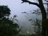 110-1018_IMG.JPG
