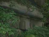 110-1024_IMG.JPG