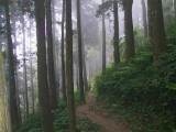 110-1058_IMG.JPG
